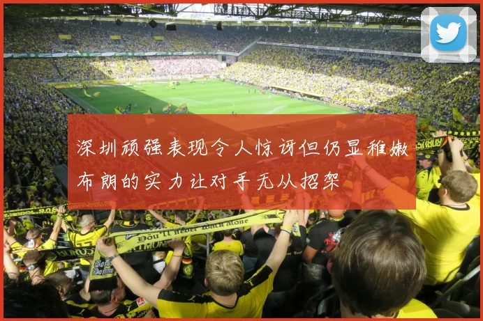 深圳顽强表现令人惊讶但仍显稚嫩布朗的实力让对手无从招架